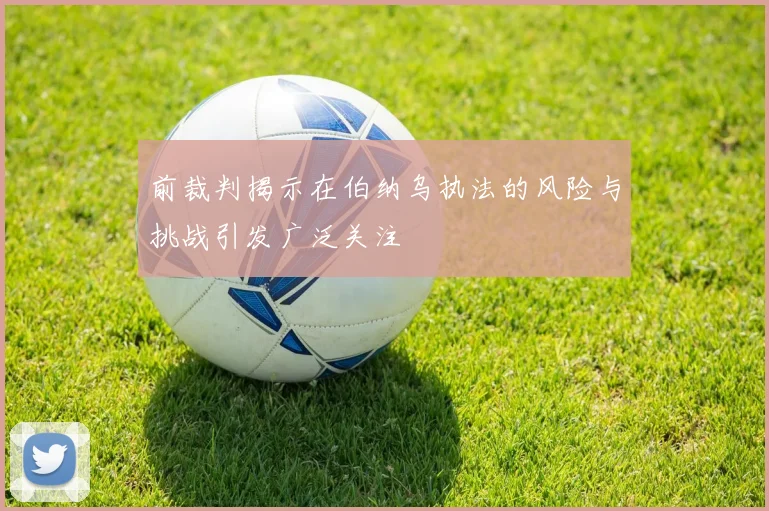 前裁判揭示在伯纳乌执法的风险与挑战引发广泛关注