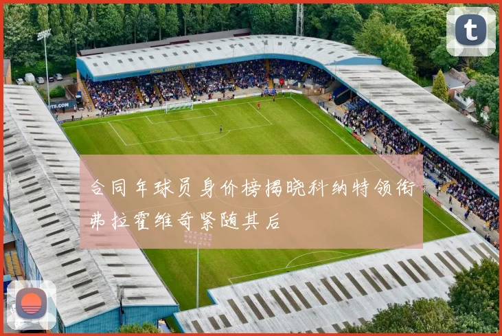 合同年球员身价榜揭晓科纳特领衔弗拉霍维奇紧随其后