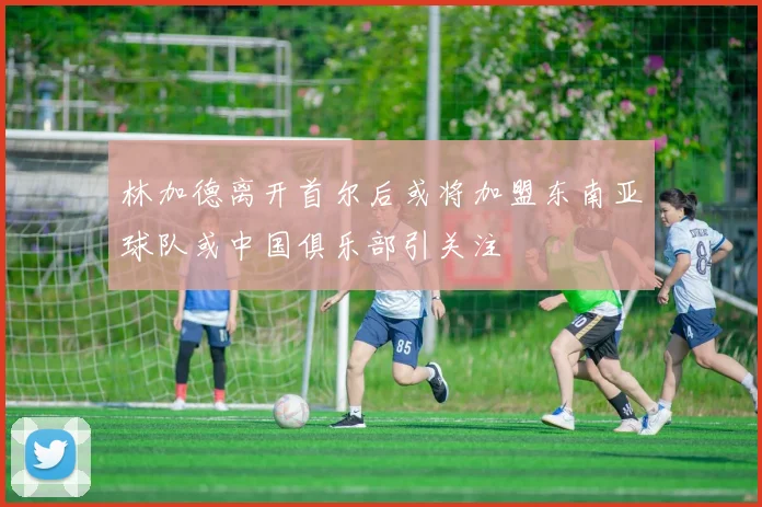 林加德离开首尔后或将加盟东南亚球队或中国俱乐部引关注