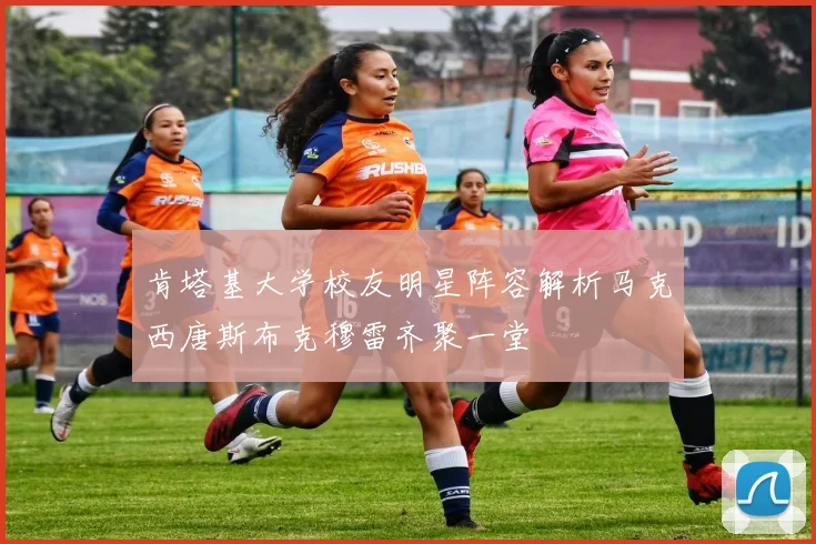 肯塔基大学校友明星阵容解析马克西唐斯布克穆雷齐聚一堂